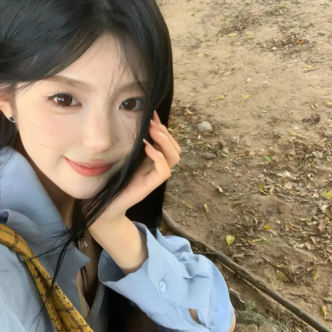 猫与苍蝇