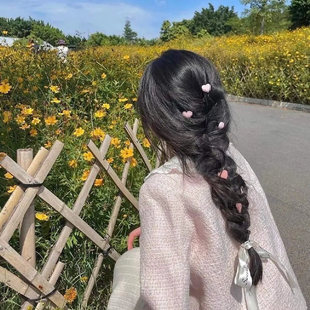 土地之光